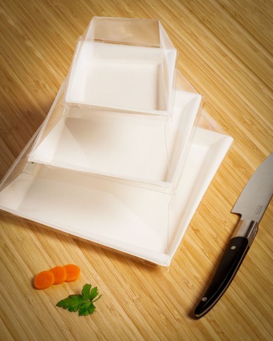 assiette en pulpe de canne à sucre