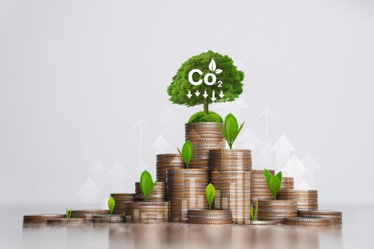 decarbonation en entreprise